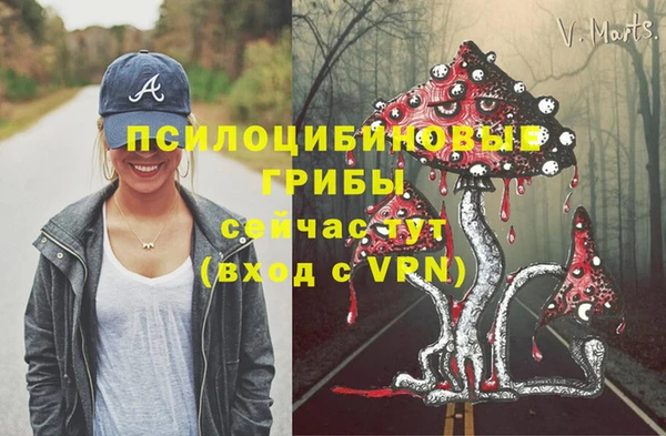 твердый Корсаков